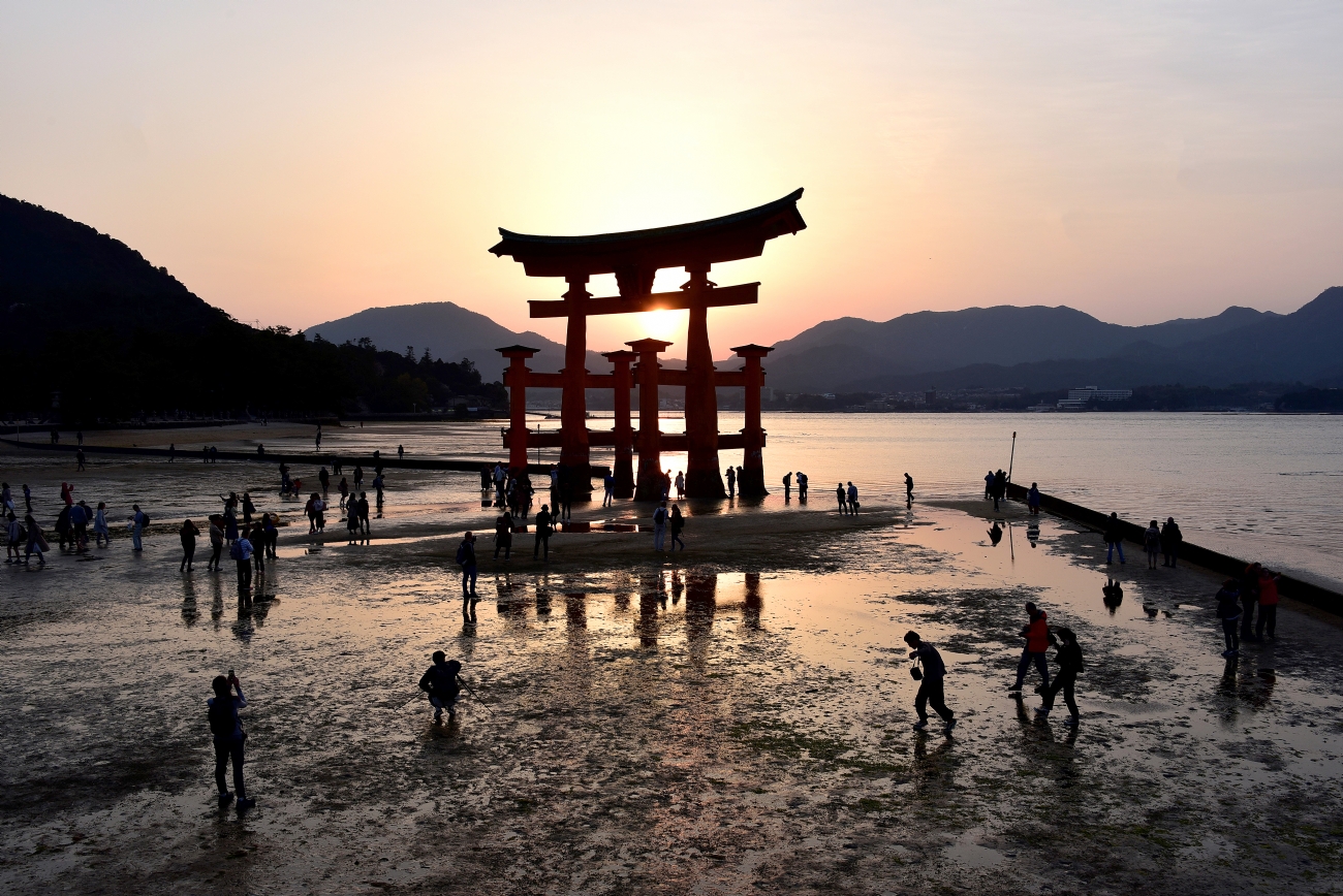 פיני  אביבי