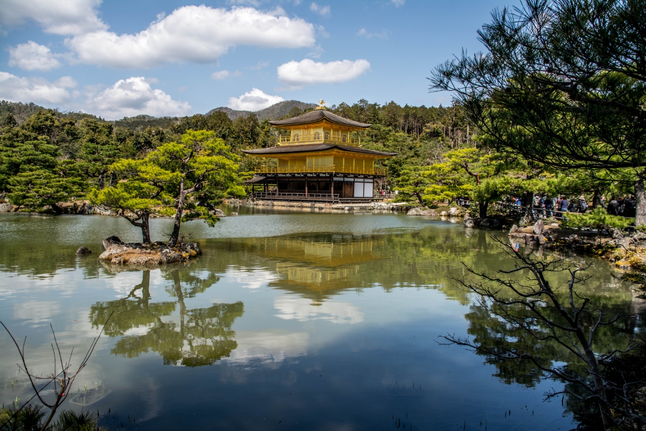 ימימה פלדמן