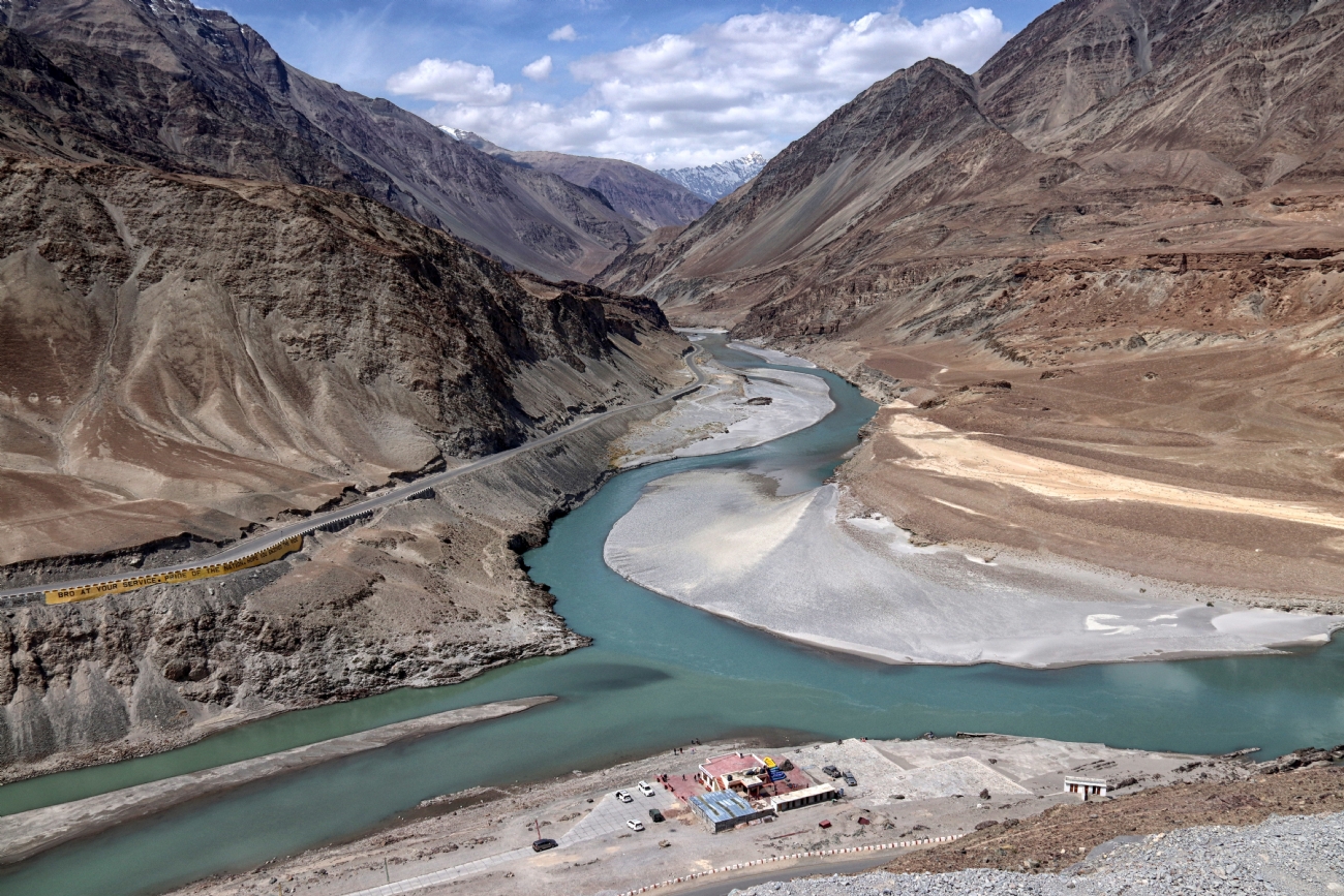 דרורה  בהרל 