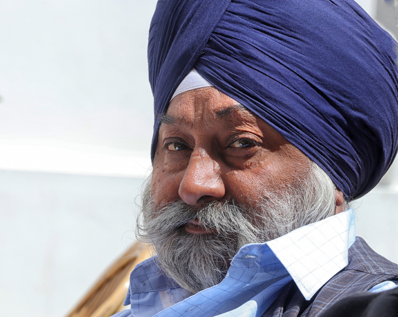 דרורה  בהרל 