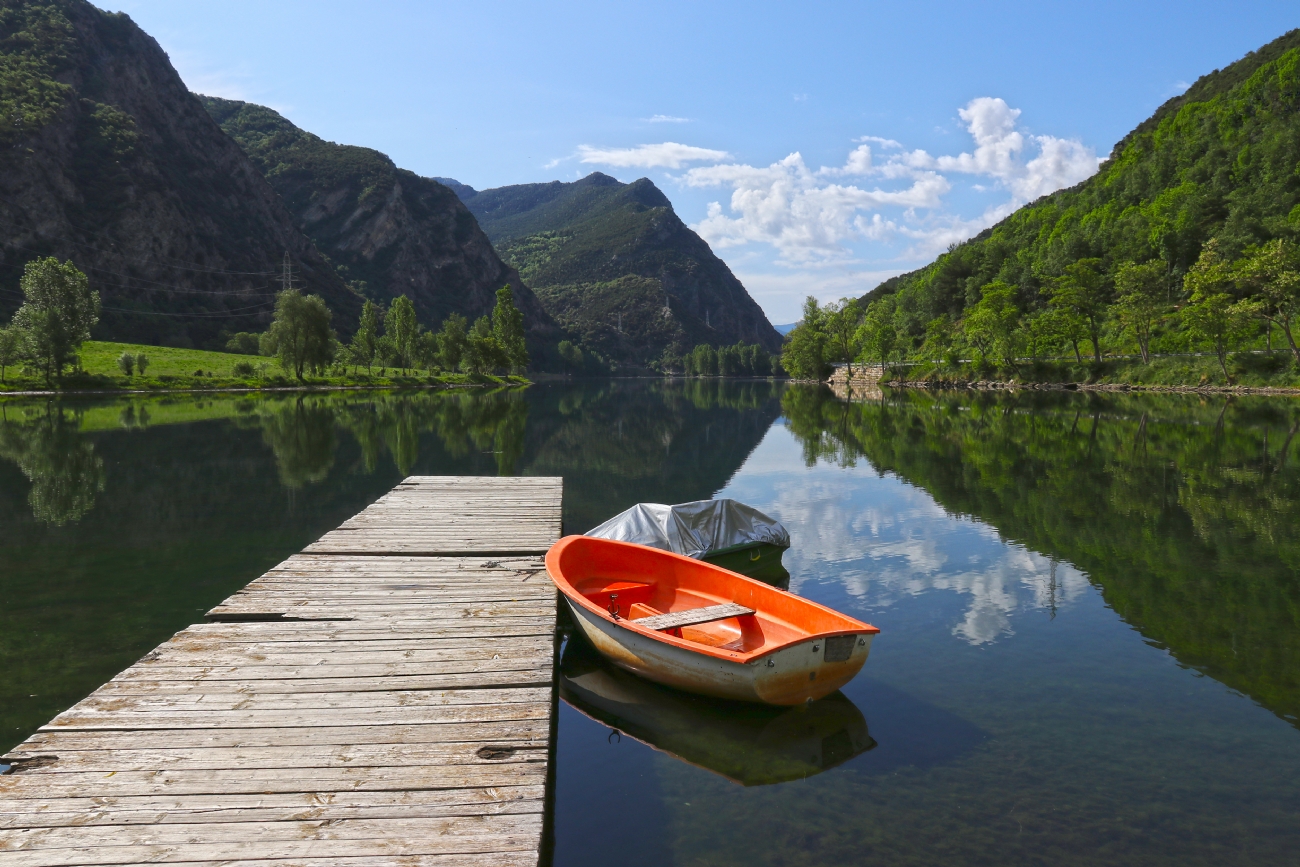 צילום: יעל מגרי