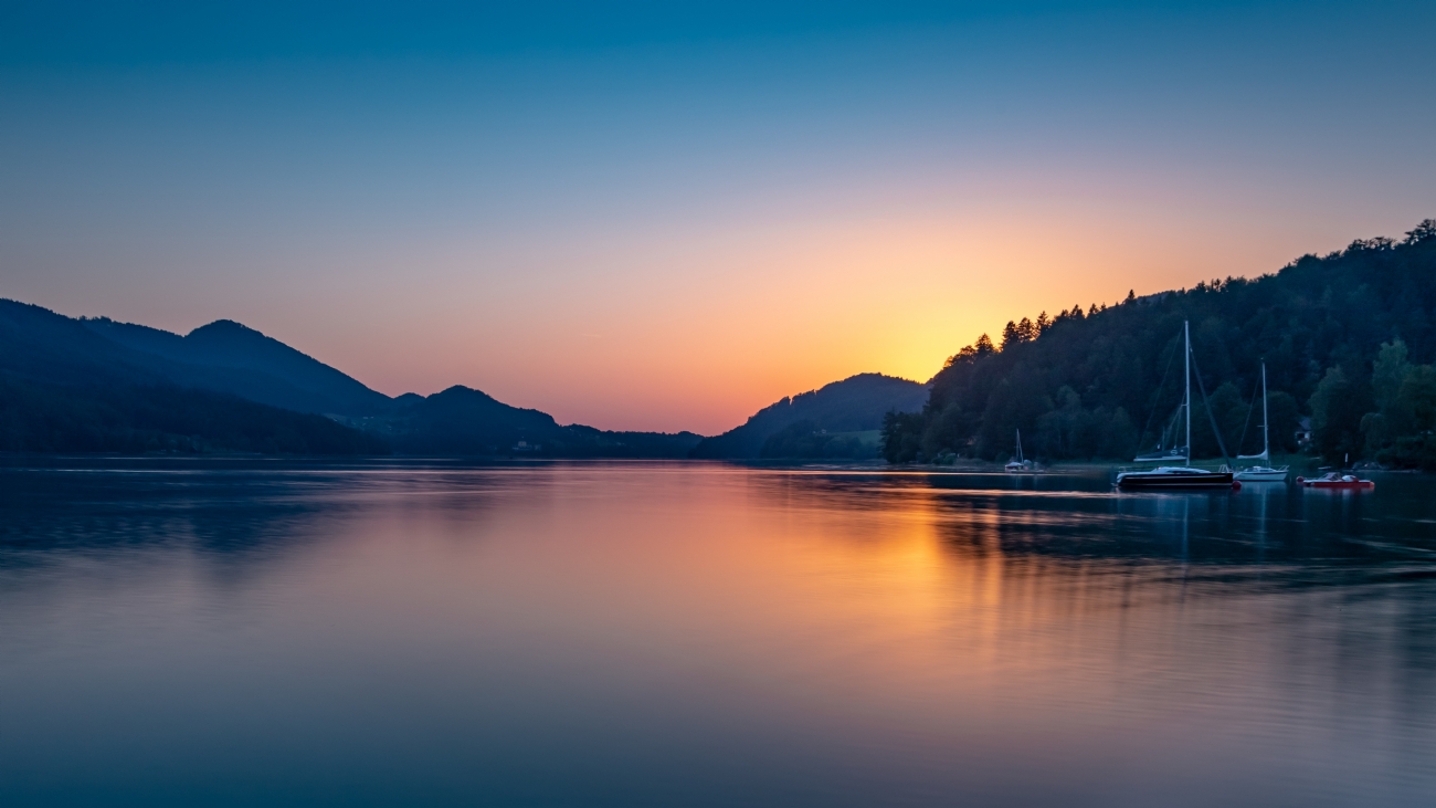 ניקולאי טטרצוק