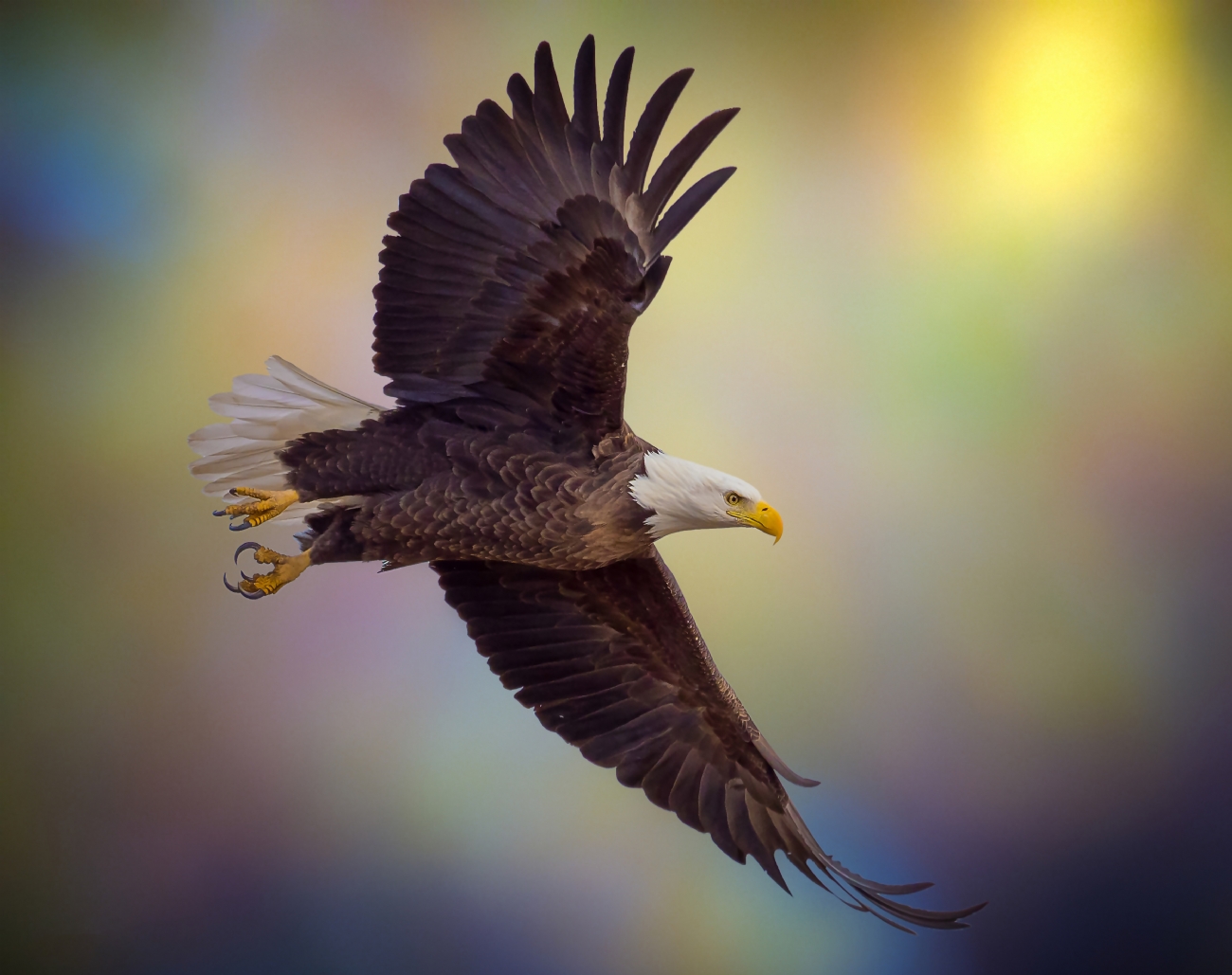 צילום: יוני שטרן