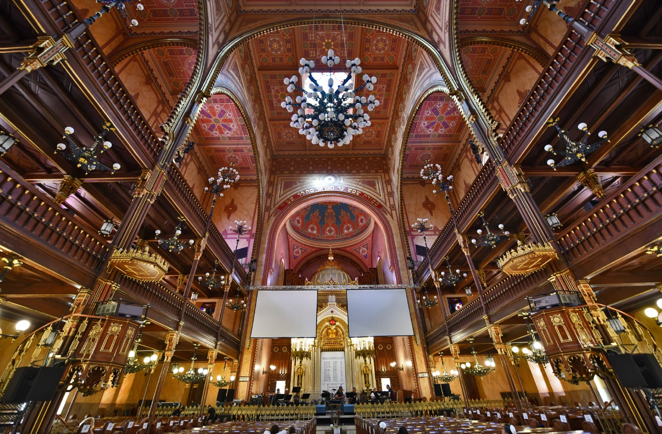 צילום: יורם סגול