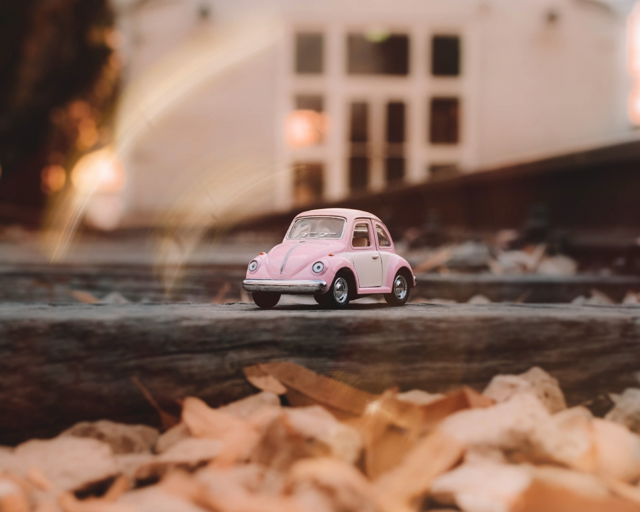 צילום: ella yakover