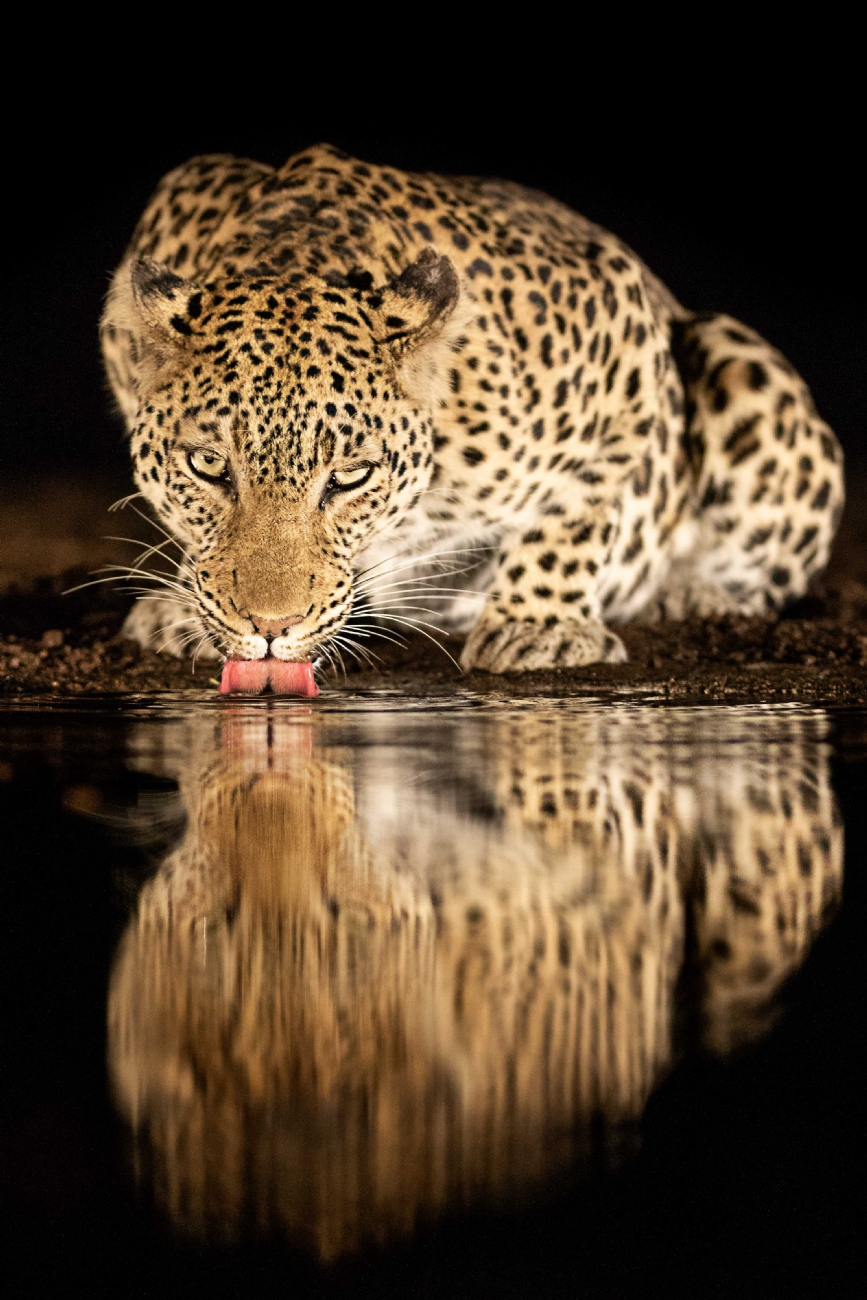 אמנון אייכלברג