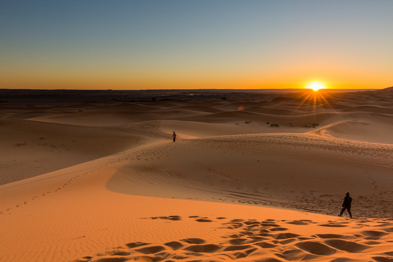 חזי גולדנברג