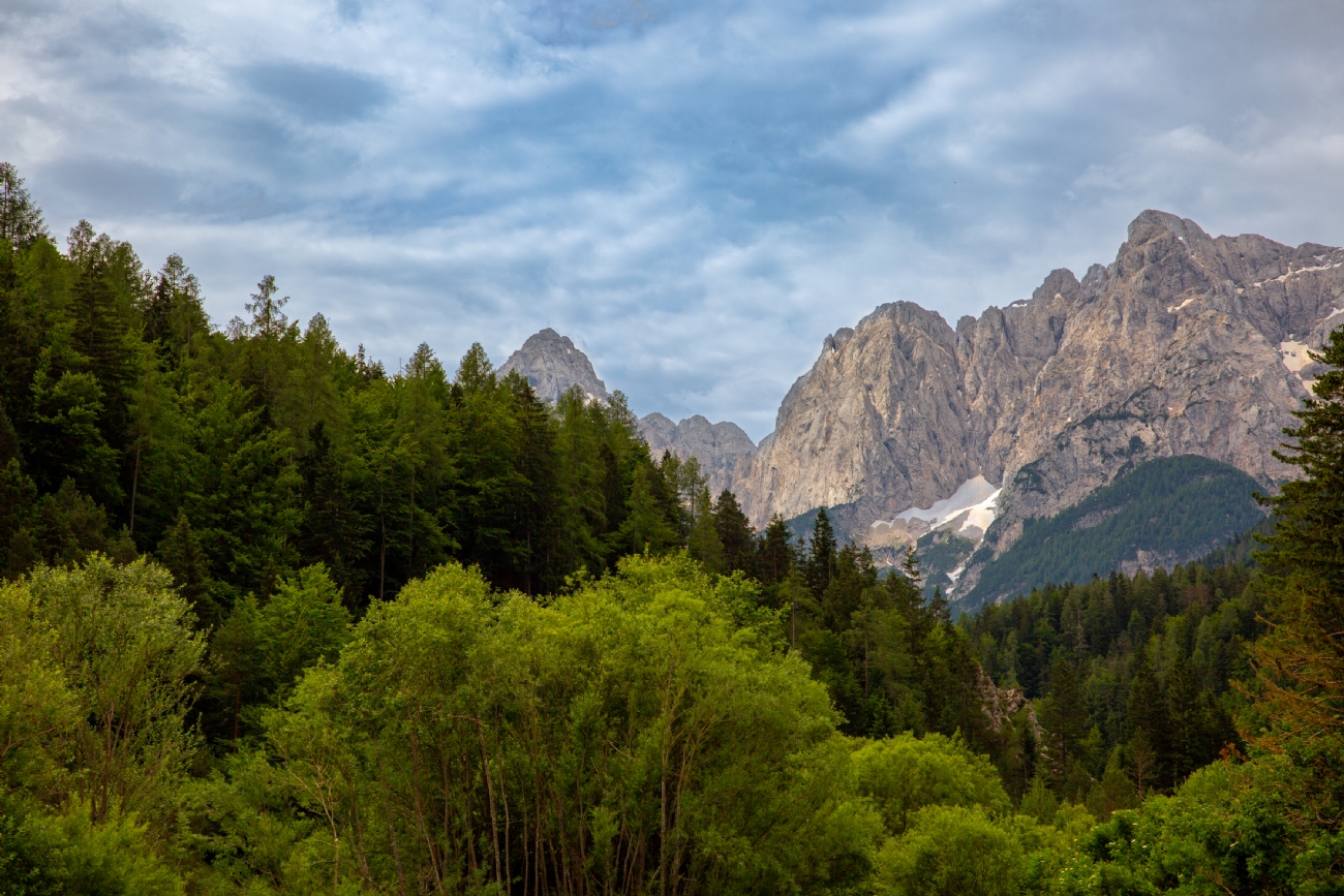 חזי גולדנברג