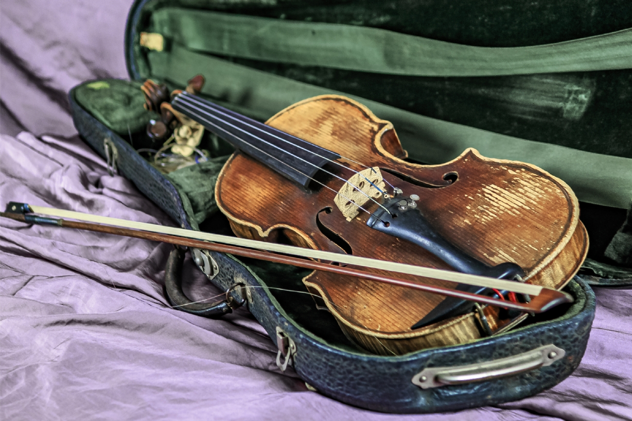 צילום: פבי בקלו