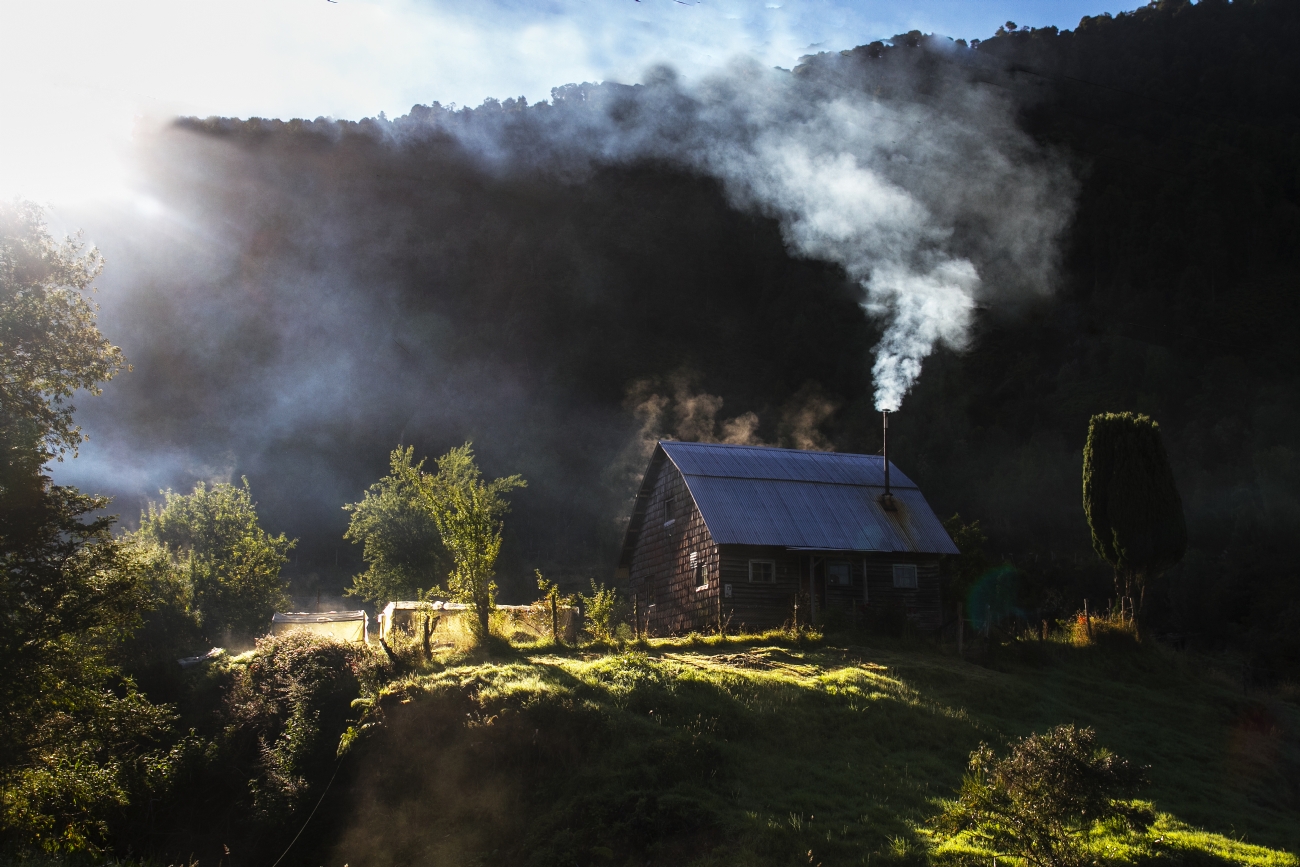טיבי אנגלמן
