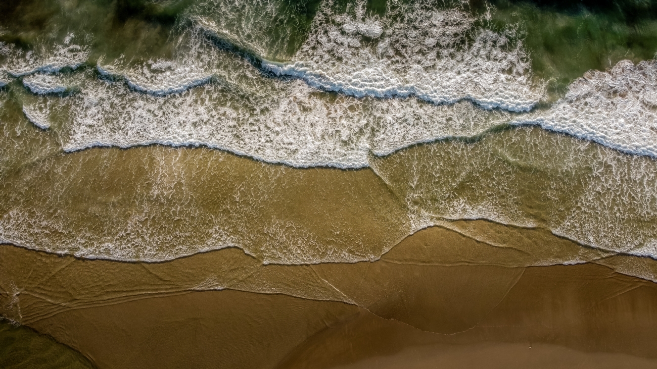 צילום: אבינועם חזן