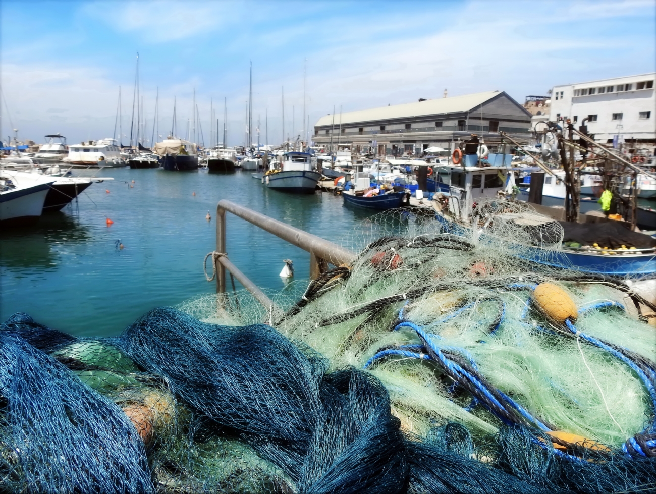 נאוה פמיליה