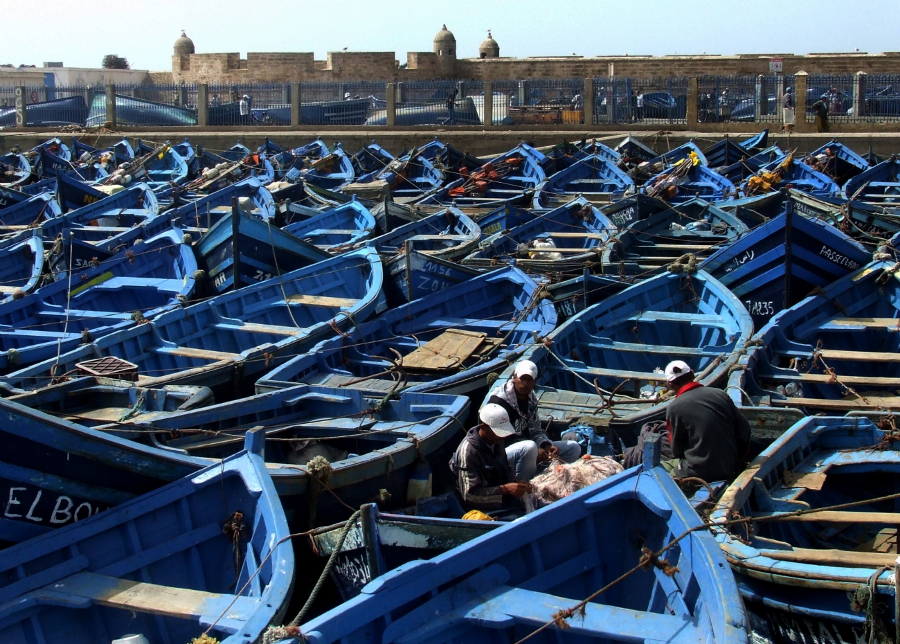 צילום: אילנה שמשי