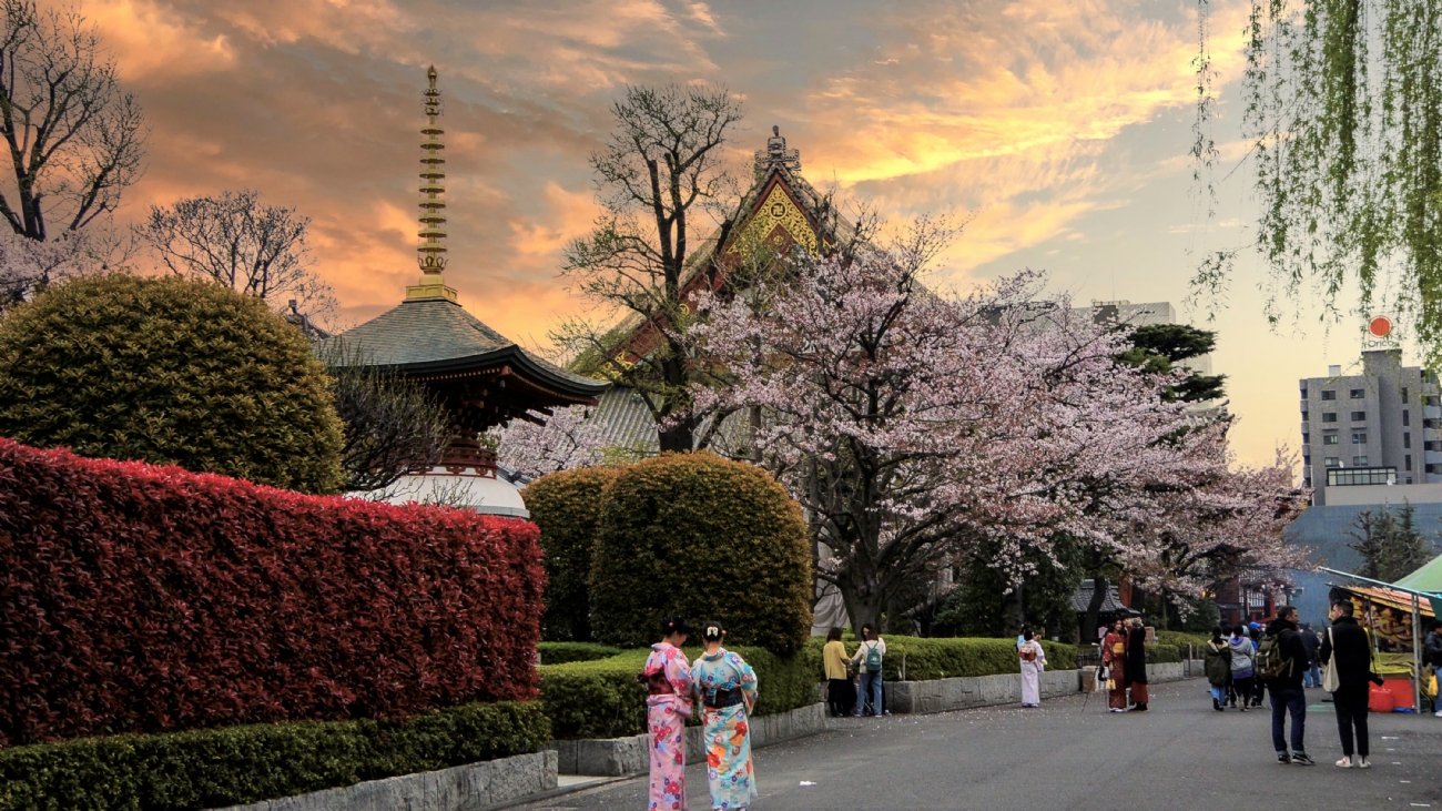 פיני  אביבי