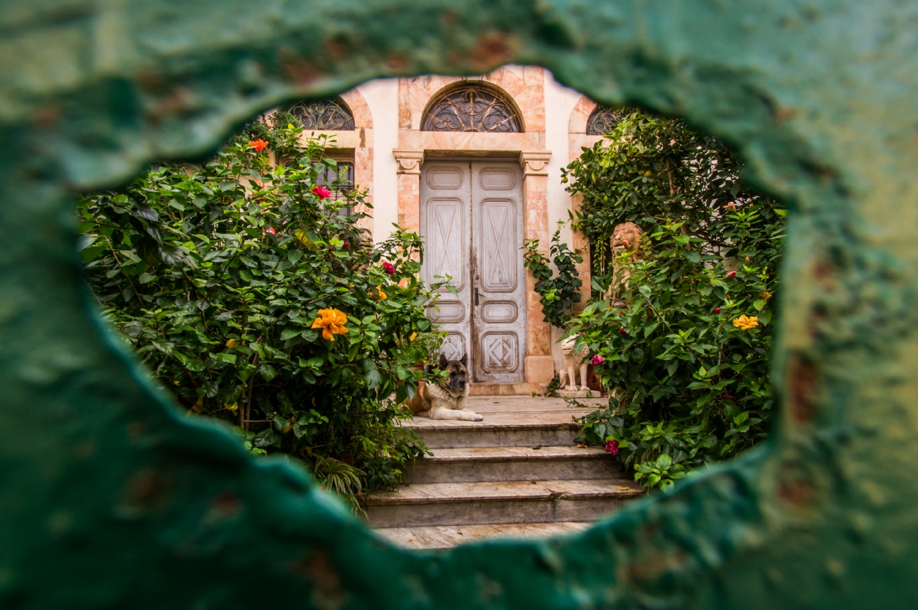 צילום: יהושע רעיף
