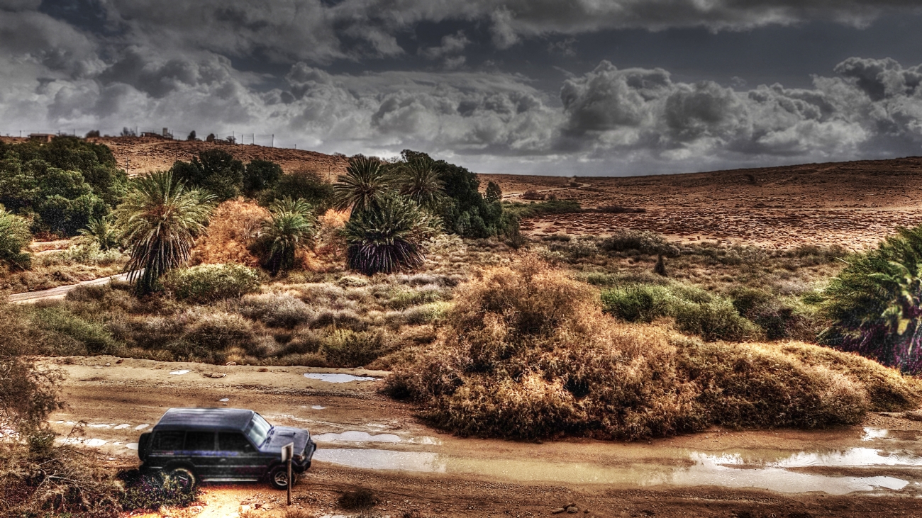 מיכל דה פורטו