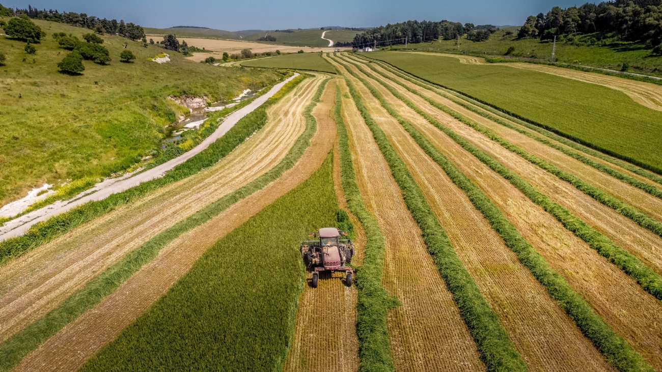 צילום: אבינועם חזן