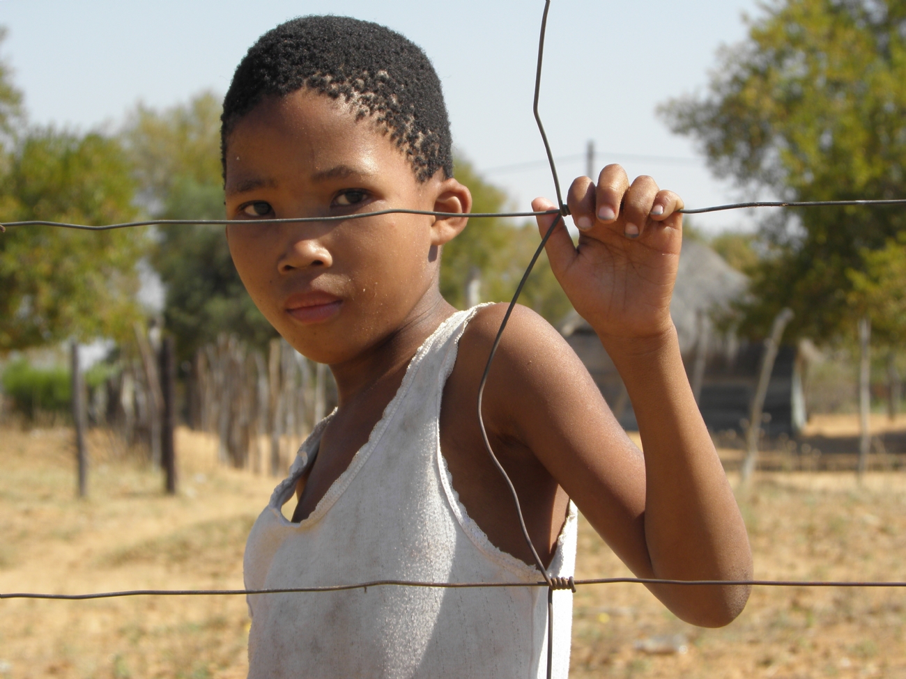 זיו אפטר אבידור