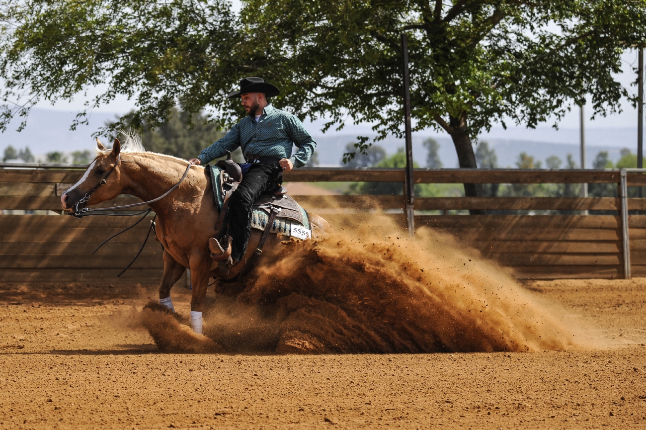 צילום: אביב רז