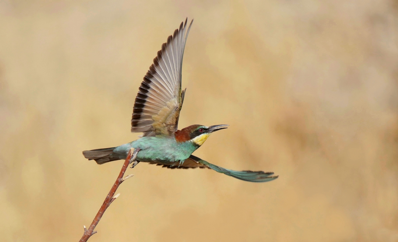 ����� ���� 0