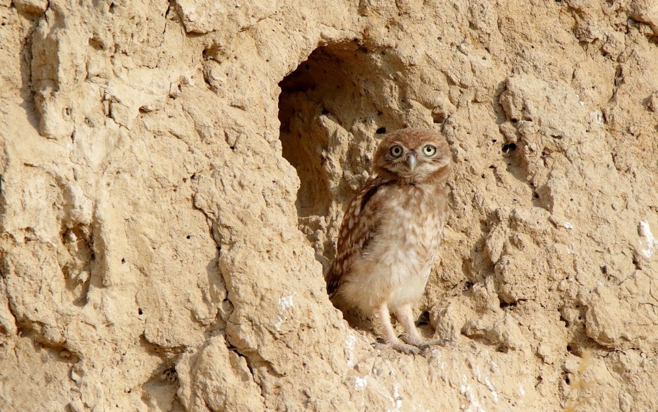 ��� ������ ����� 0