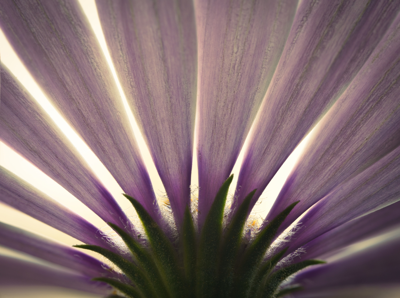 סרגי חמלבסקי