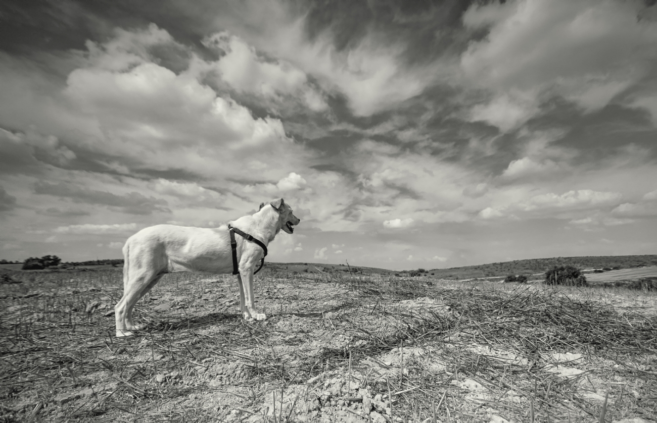 ����� ��"�