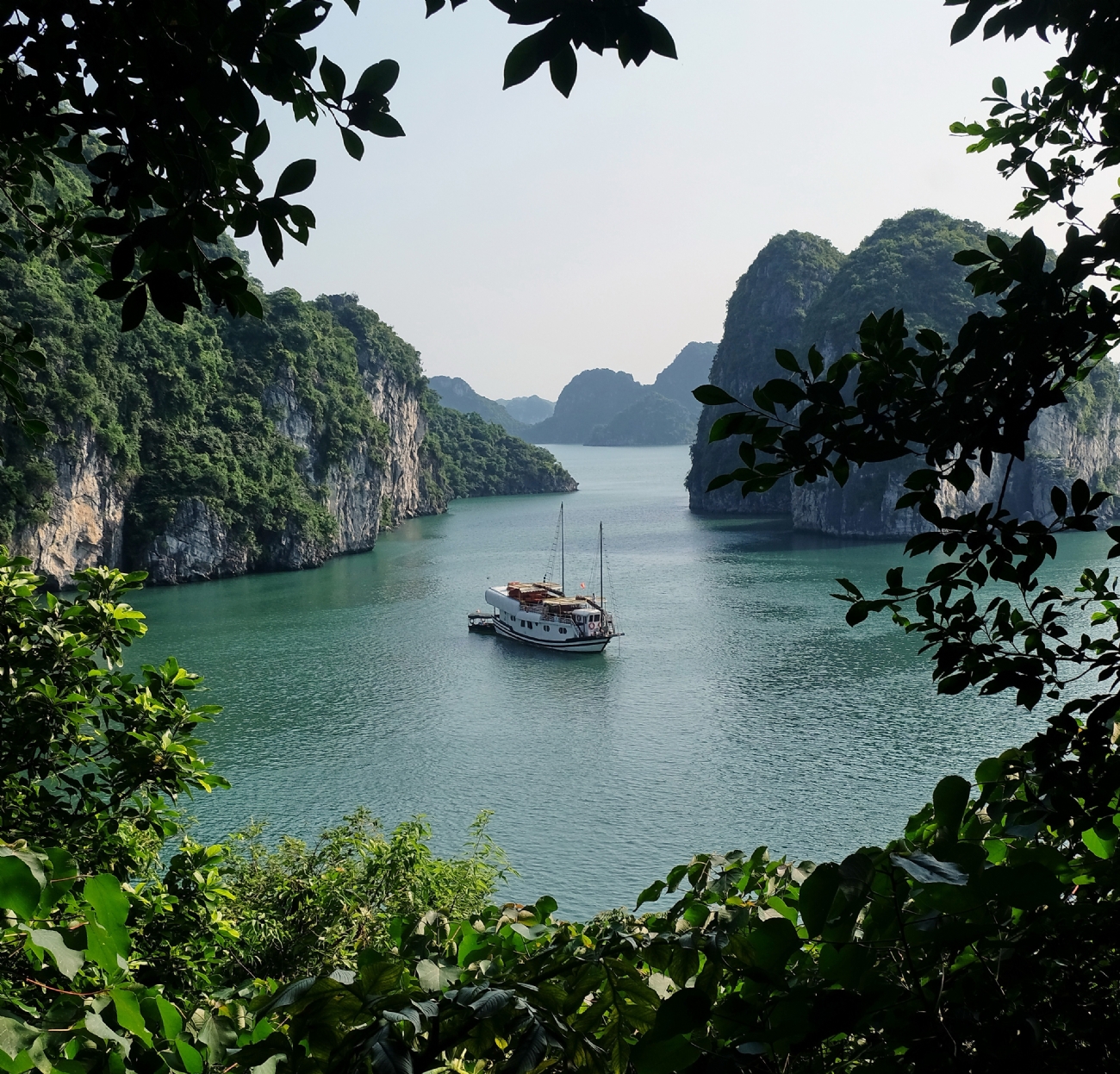 צילום: מנחם לזר