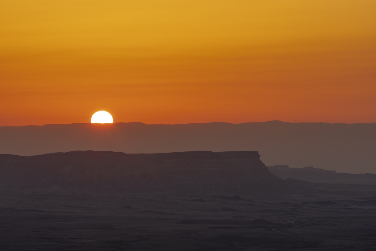 ניקולאי טטרצוק