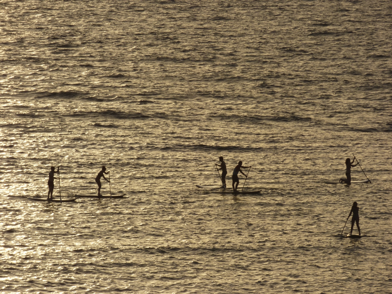 זיו אפטר אבידור