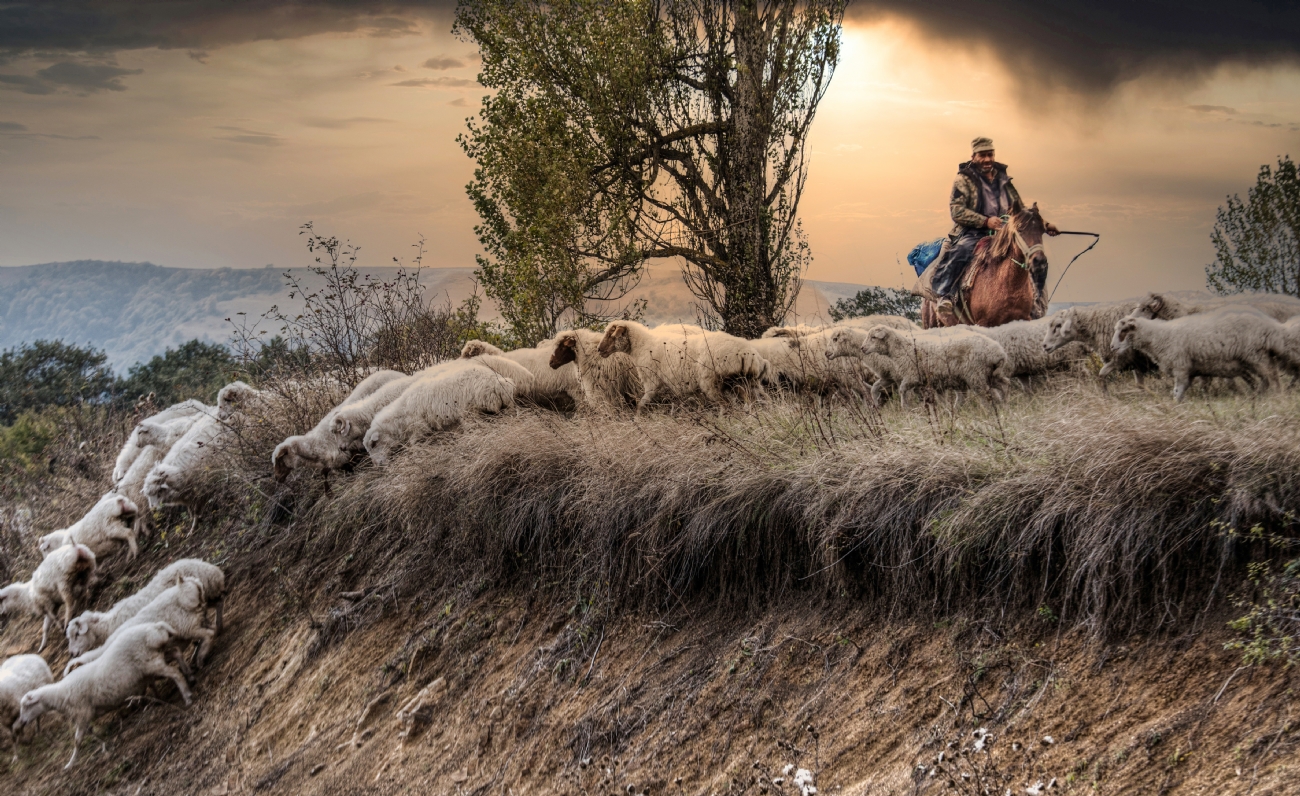 חנן אפשטיין