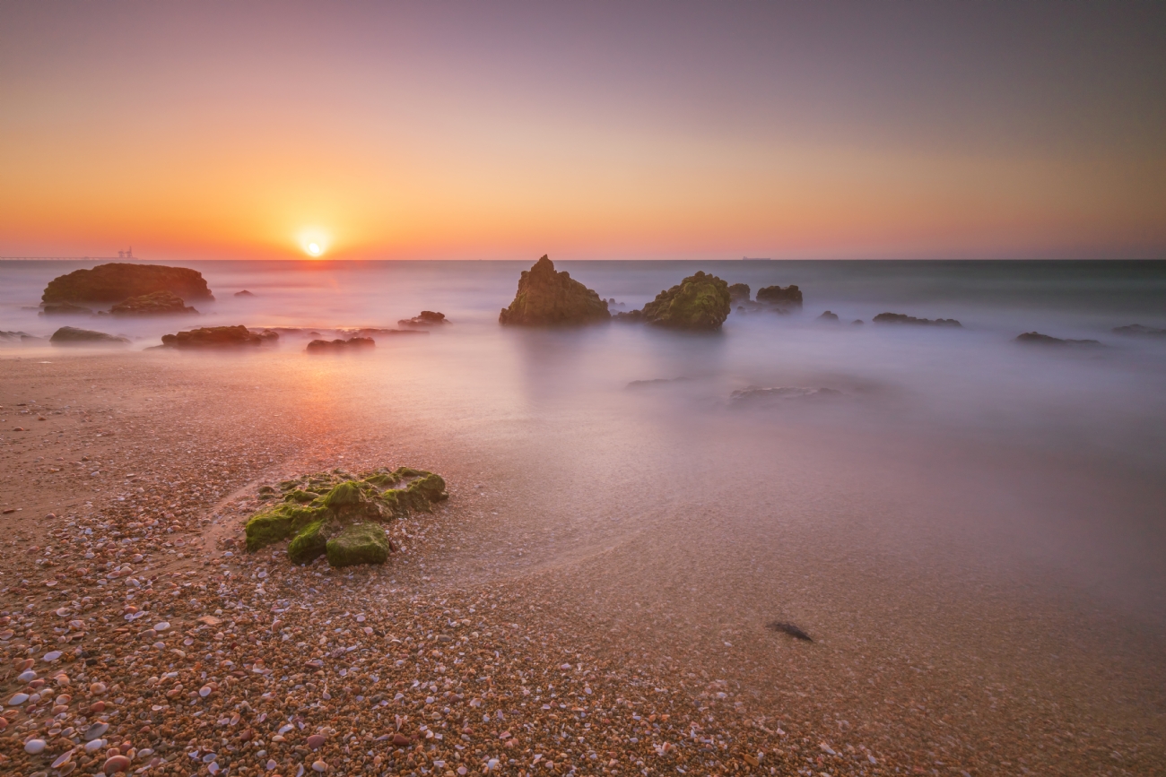 ניקולאי טטרצוק