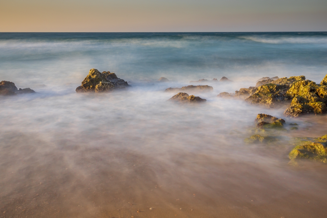 ניקולאי טטרצוק