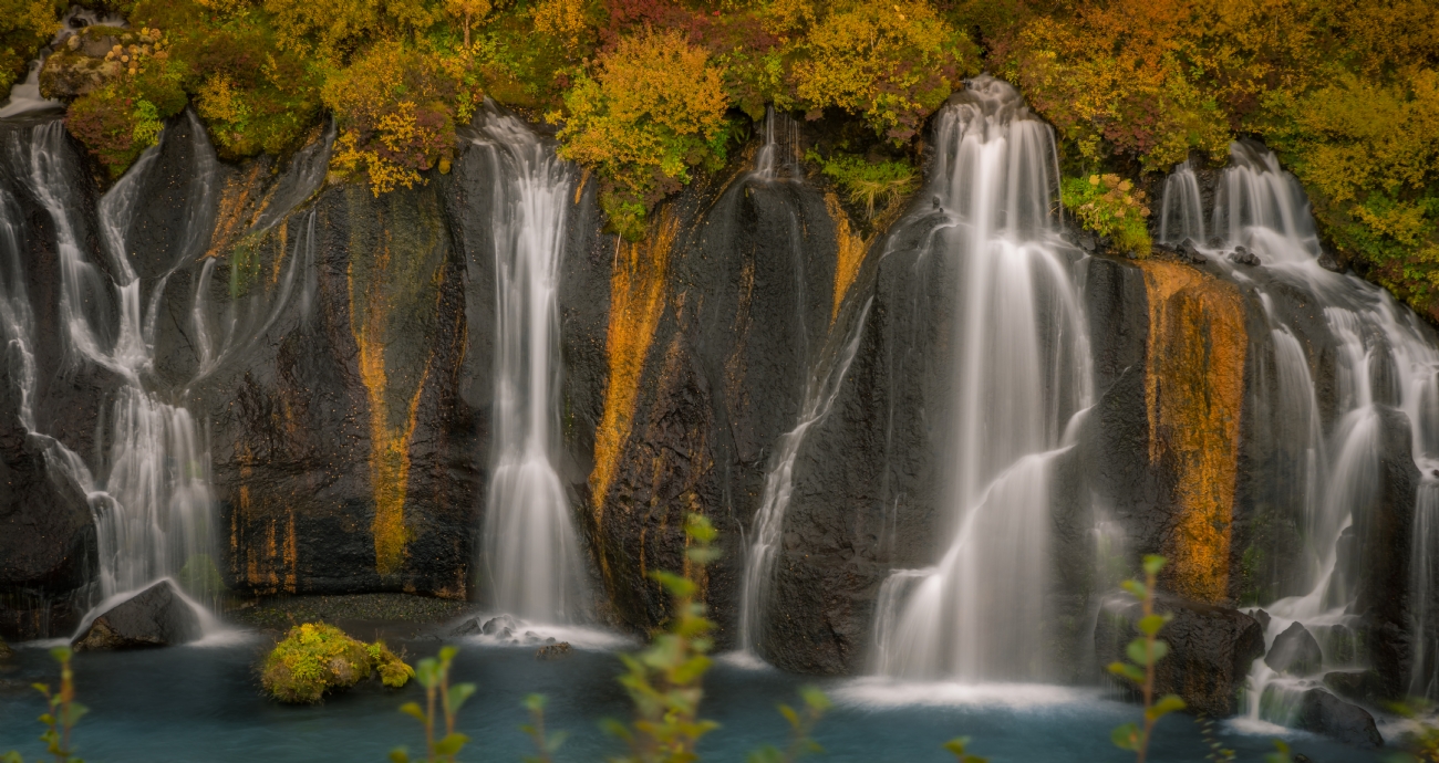 שרון טריבלסקי