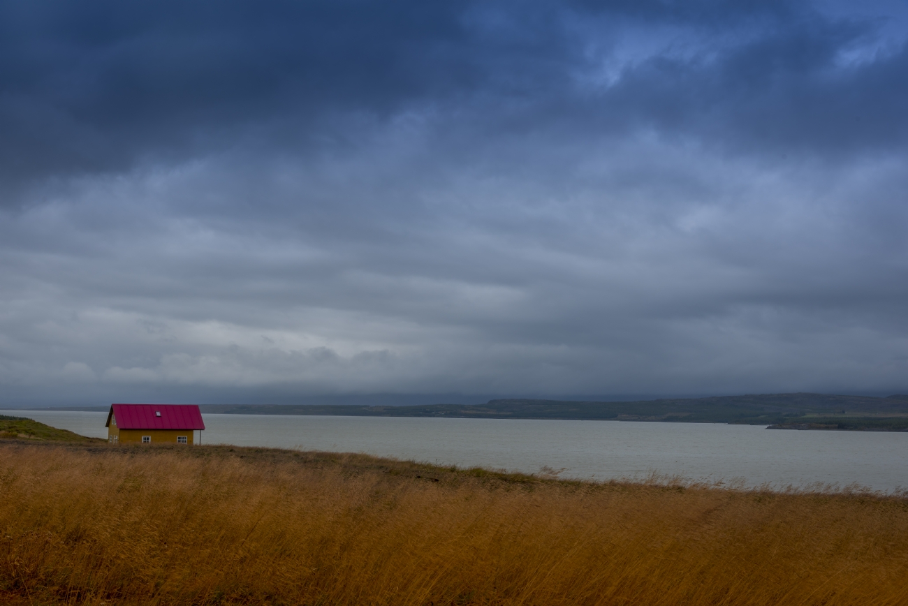 צילום: שרון טריבלסקי
