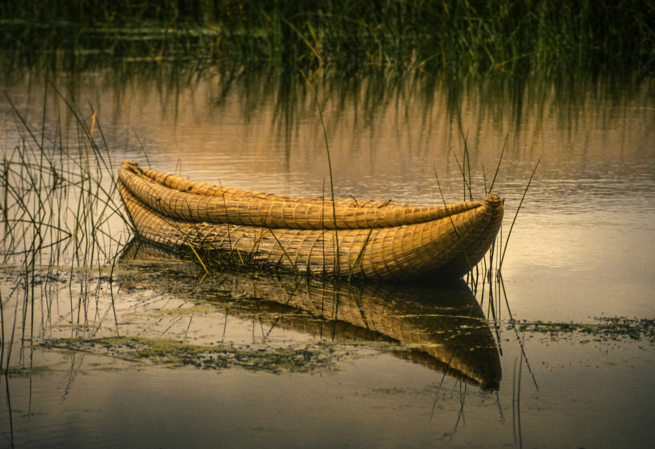 שרון טריבלסקי