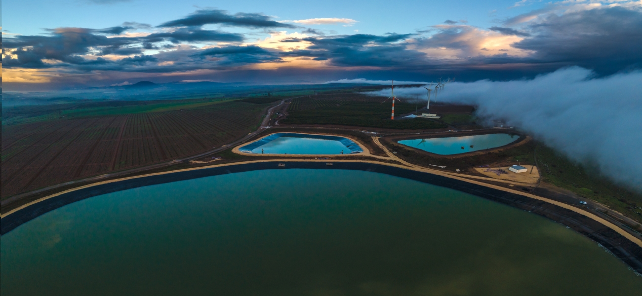שרון טריבלסקי