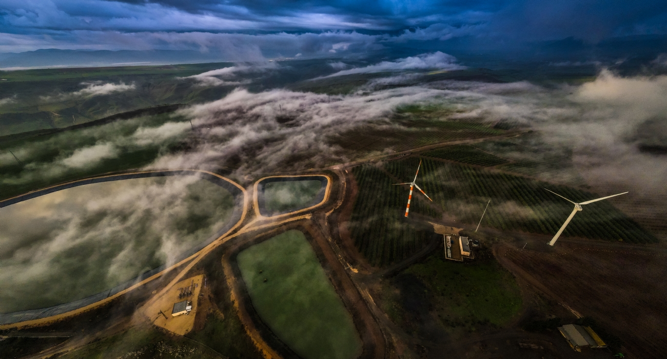 שרון טריבלסקי