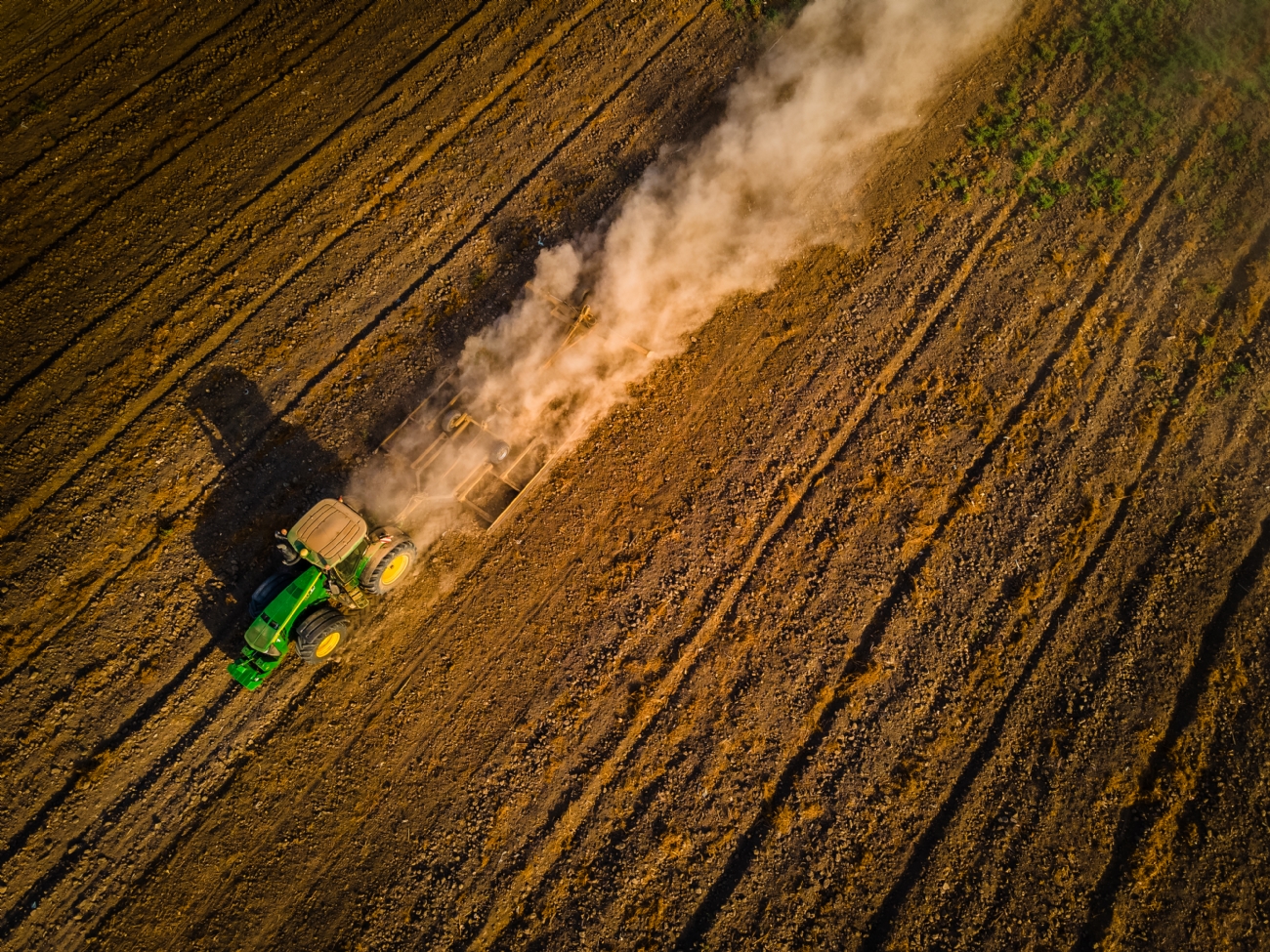 צילום: שרון טריבלסקי