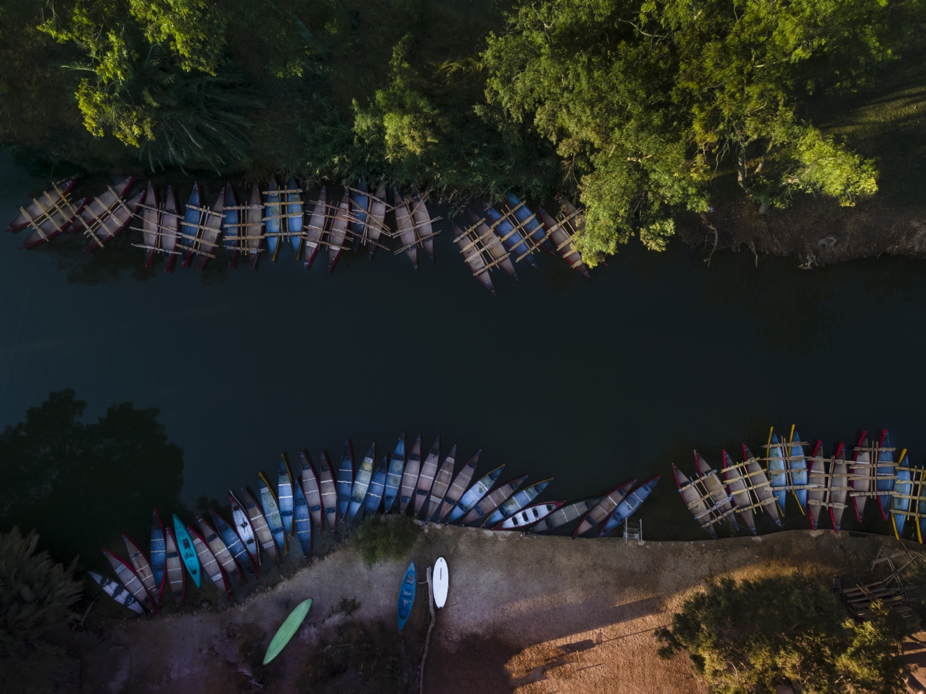 צילום: שרון טריבלסקי