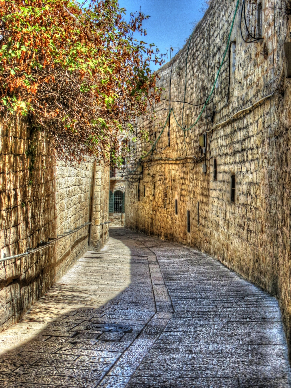 ישראל בוכריץ