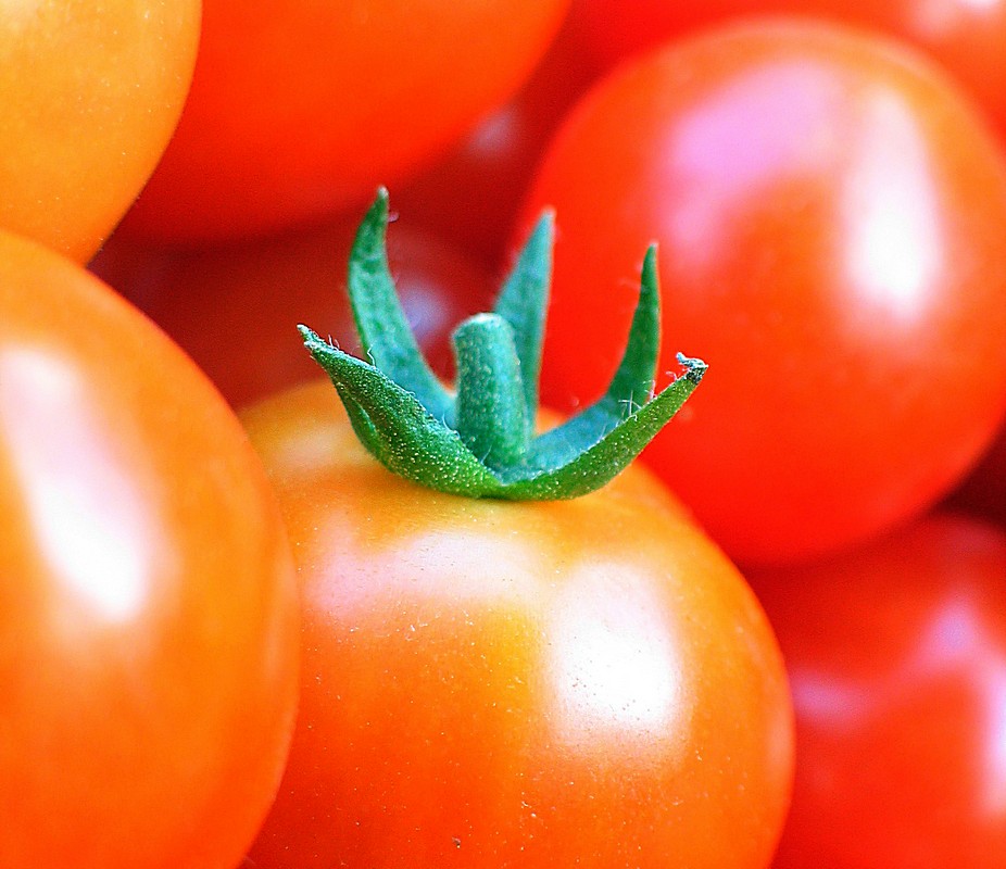 אייל ורטהימר