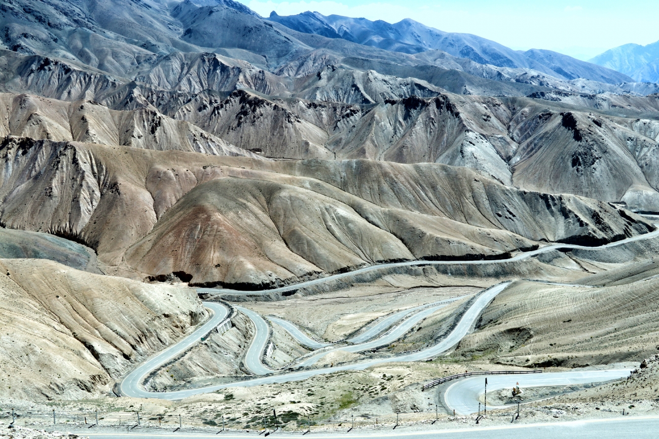 דרורה  בהרל 