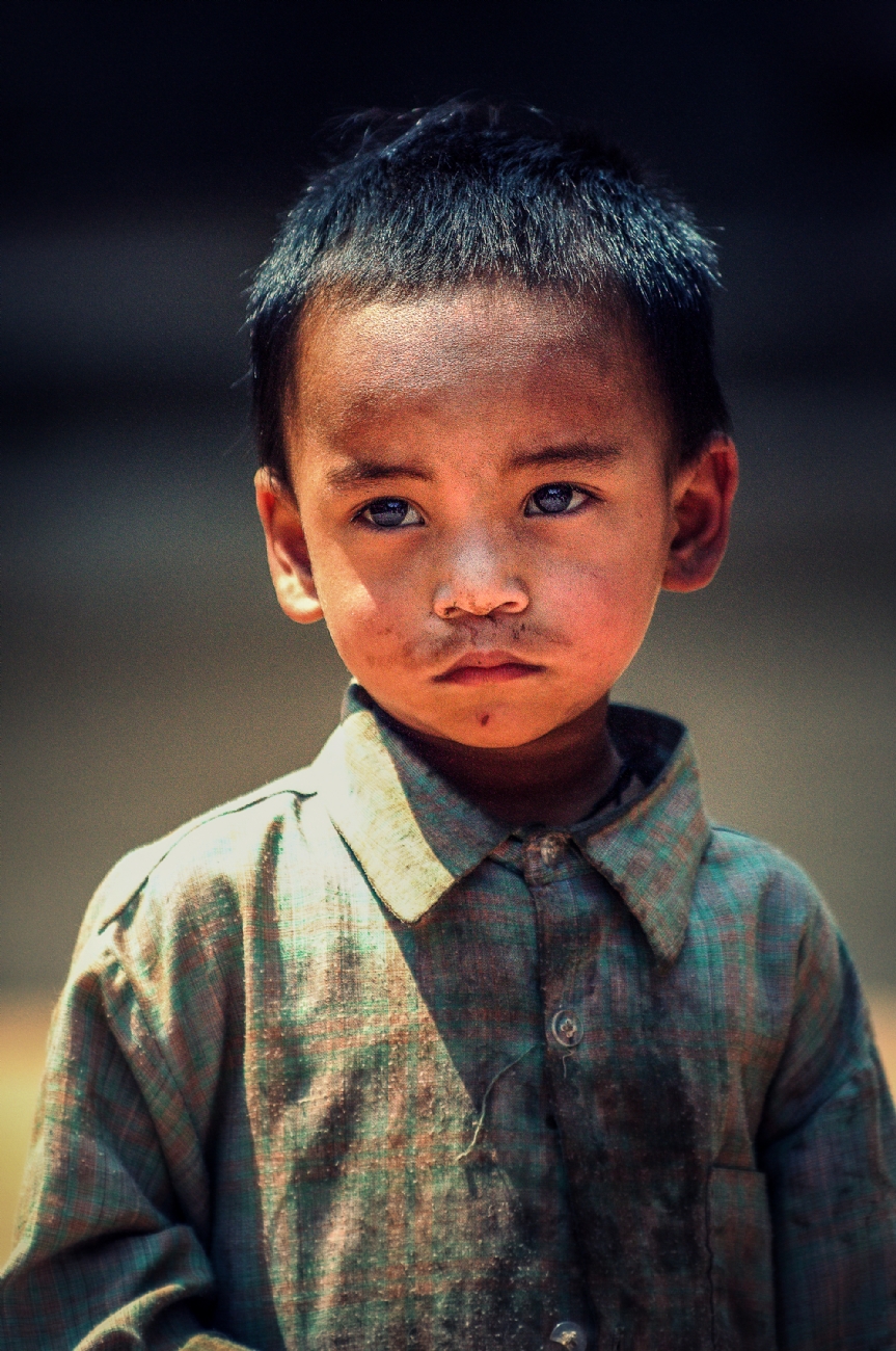 צילום: זוהר פרו
