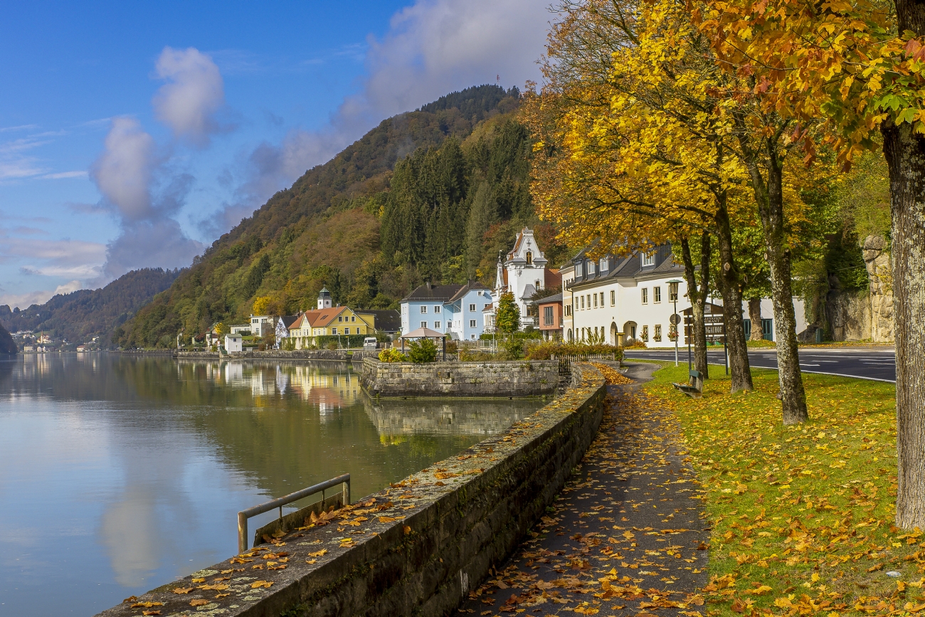 צילום: חזי גולדנברג