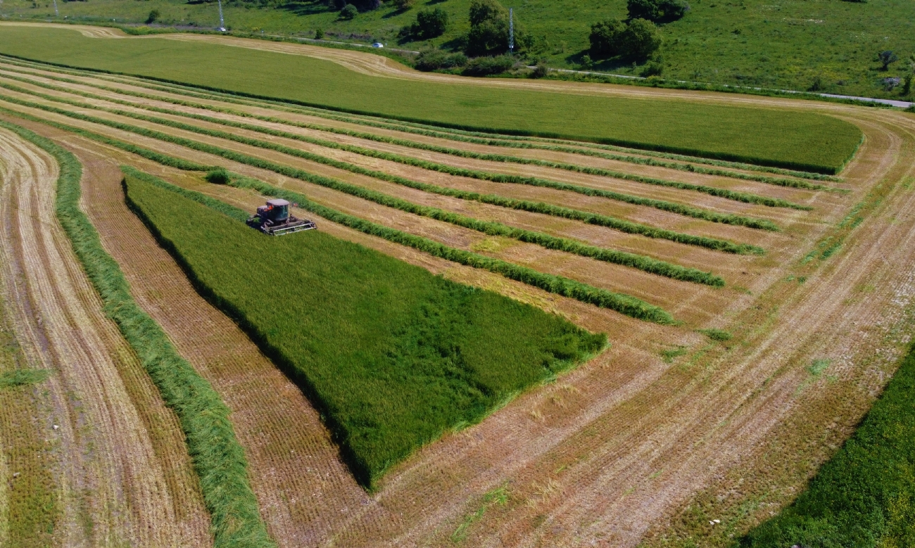 אבינועם חזן