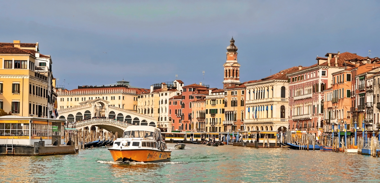 יואל ויסלוב