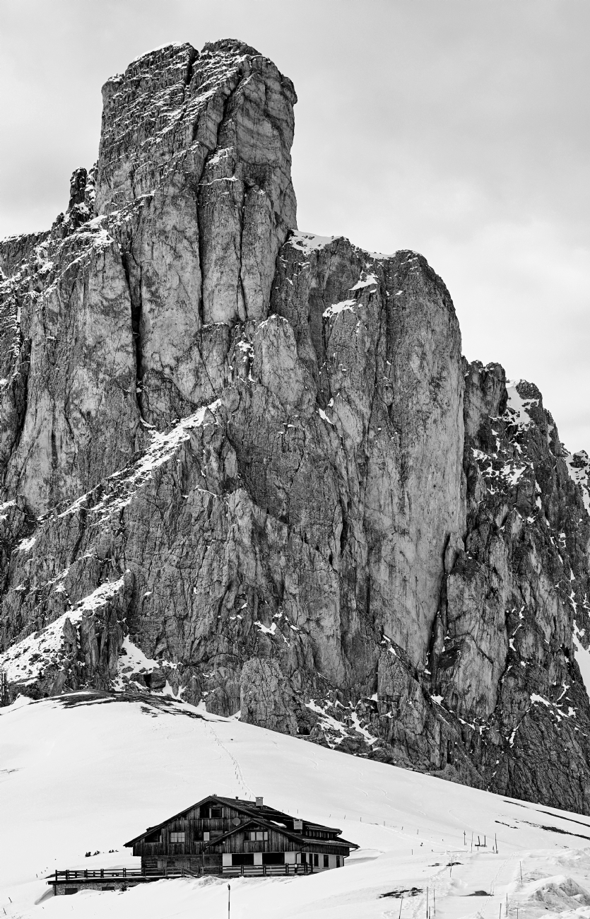 יואל ויסלוב