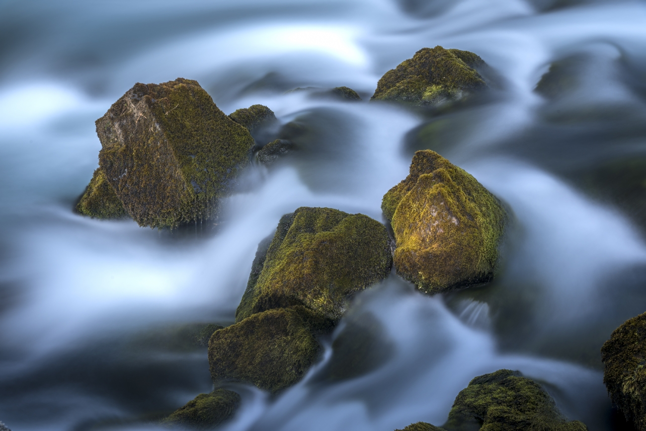 שרון טריבלסקי