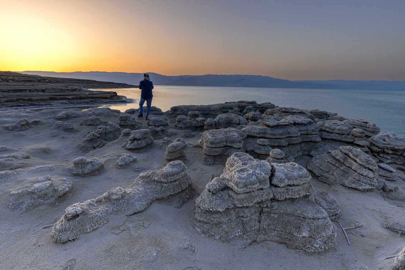 חזי גולדנברג